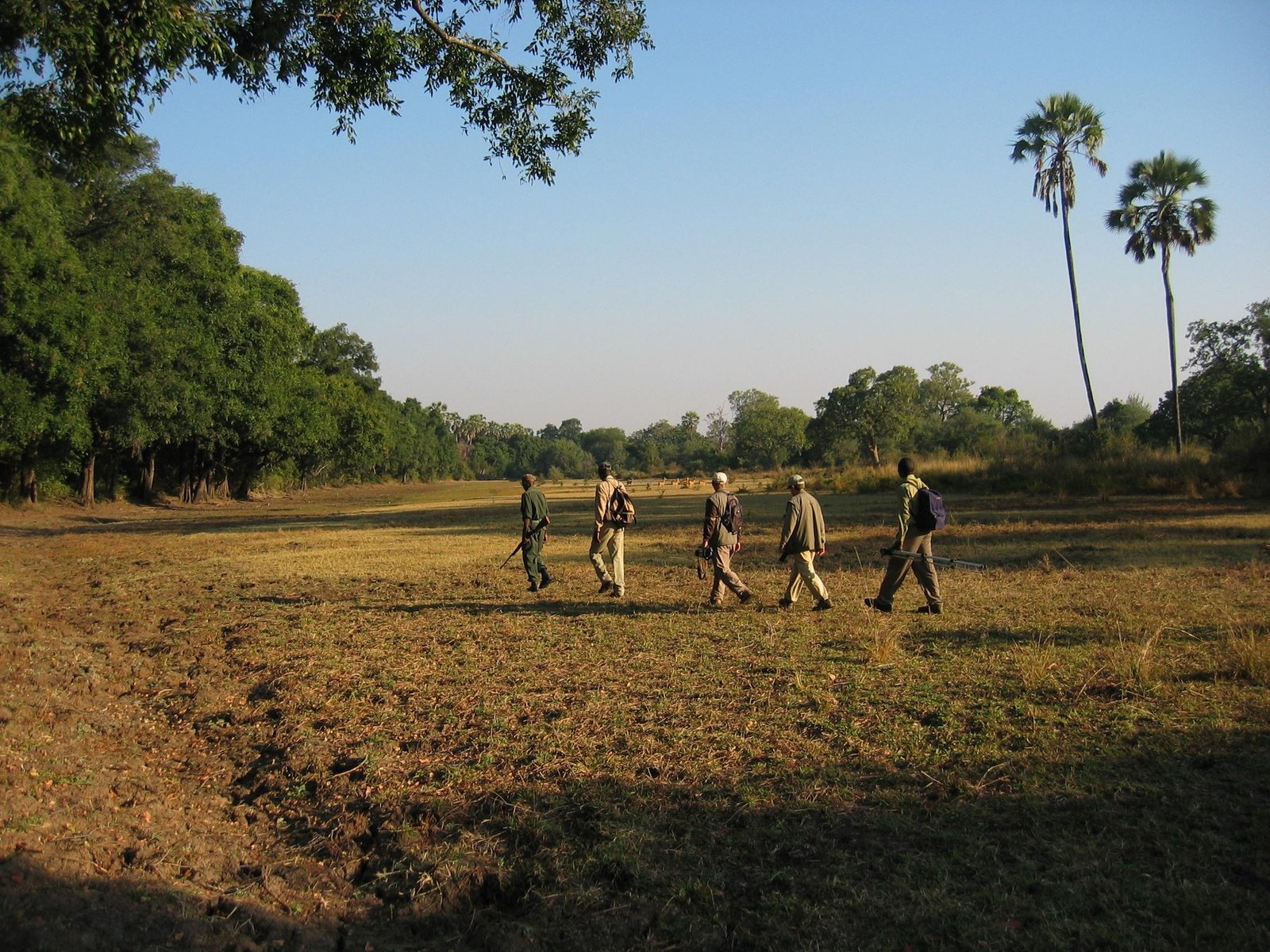 Island Bush Camp im South Luangwa NP Walking Safari