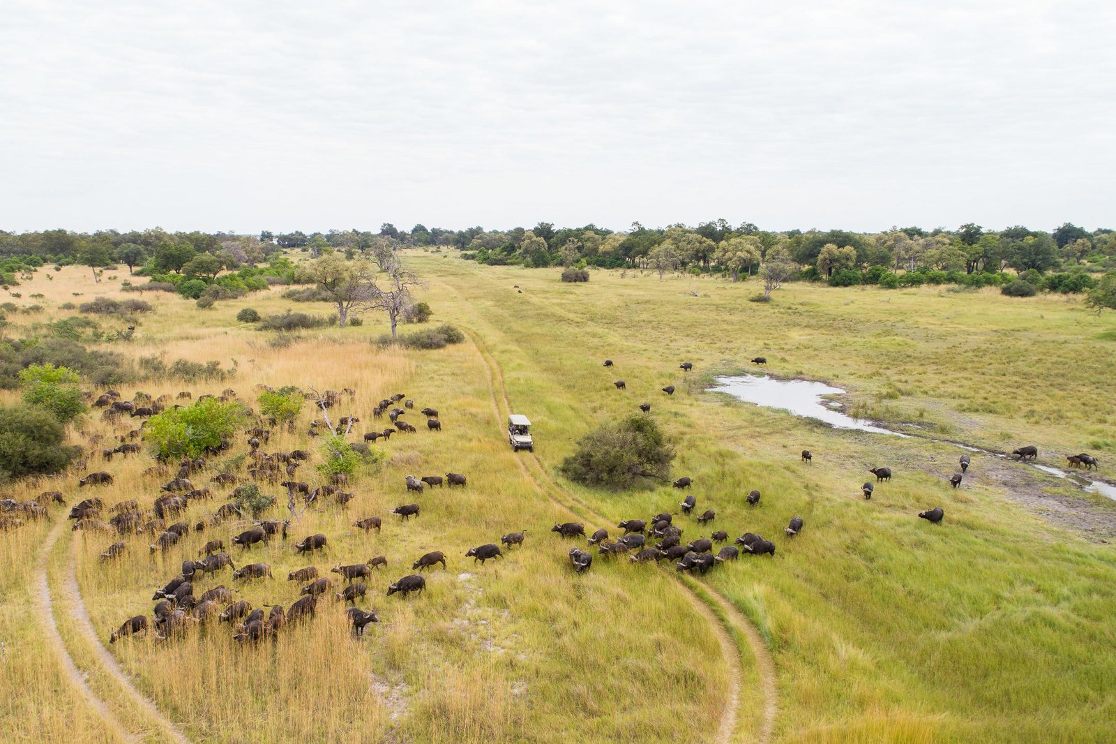 Camp Xakanaxa Game Drive Safari aus der Luft