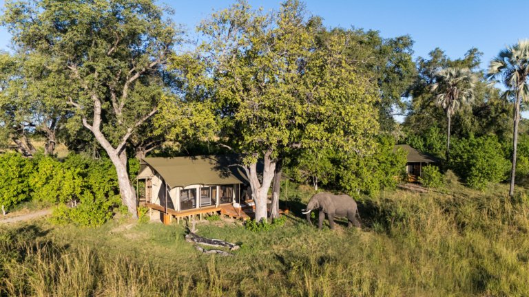 Monachira Camp Luxury Zelt zwischen den Bäumen mit Elefant im Vordergrund