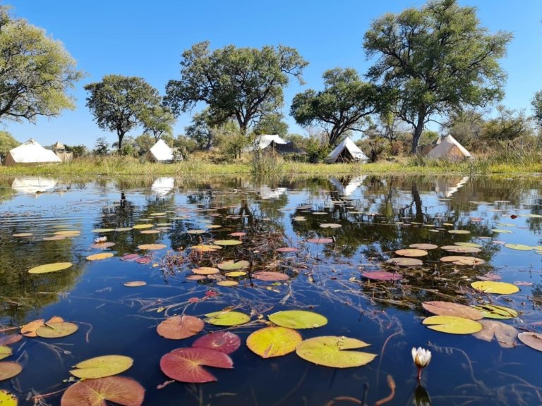 Feline Fields Vintage Camp Campansicht mit Lagune