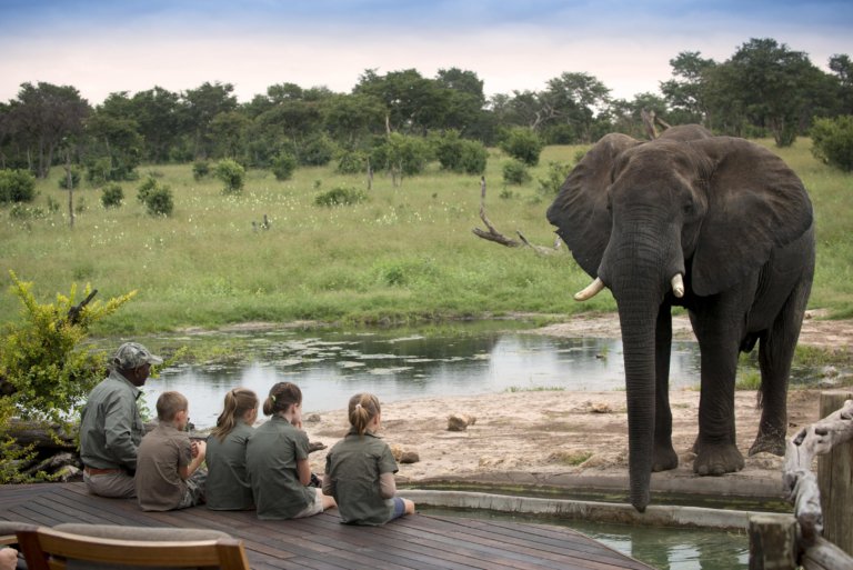 Kids und Elefant beim Somalisa Acacia Camp