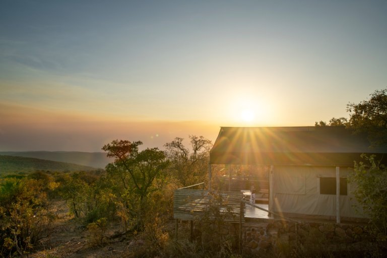 Elephants Crossing Zeltzimmer bei Sonnenuntergang
