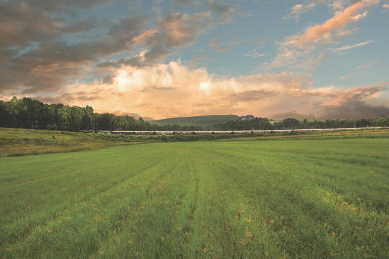 Rovos Rail Fahrt durch Durban Hills