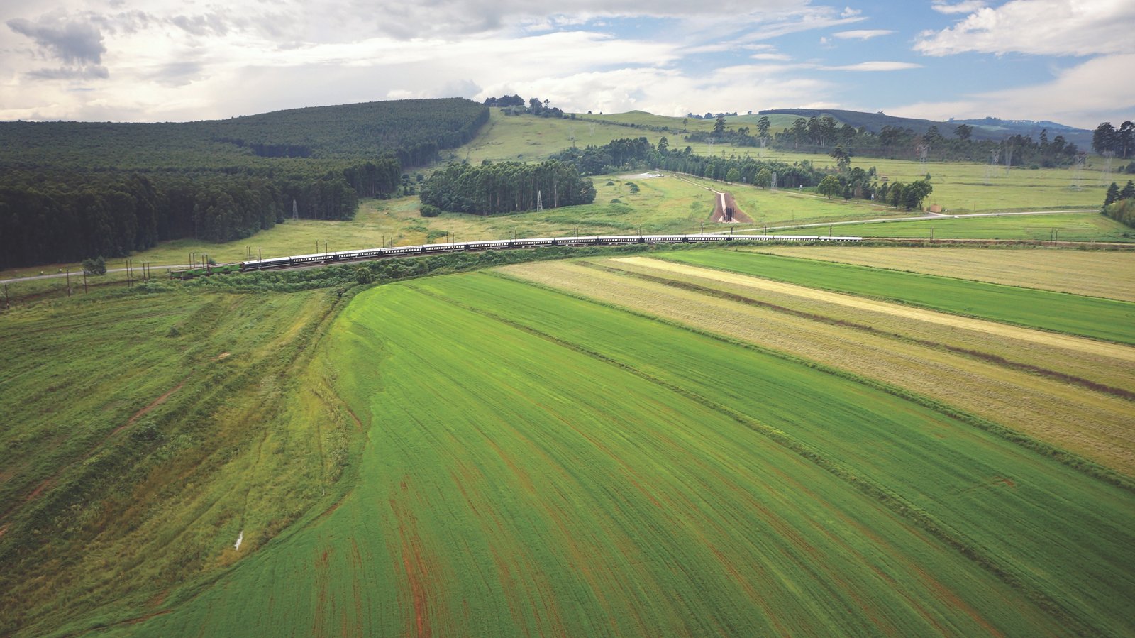 Rovos Rail fährt durch Durban Hills