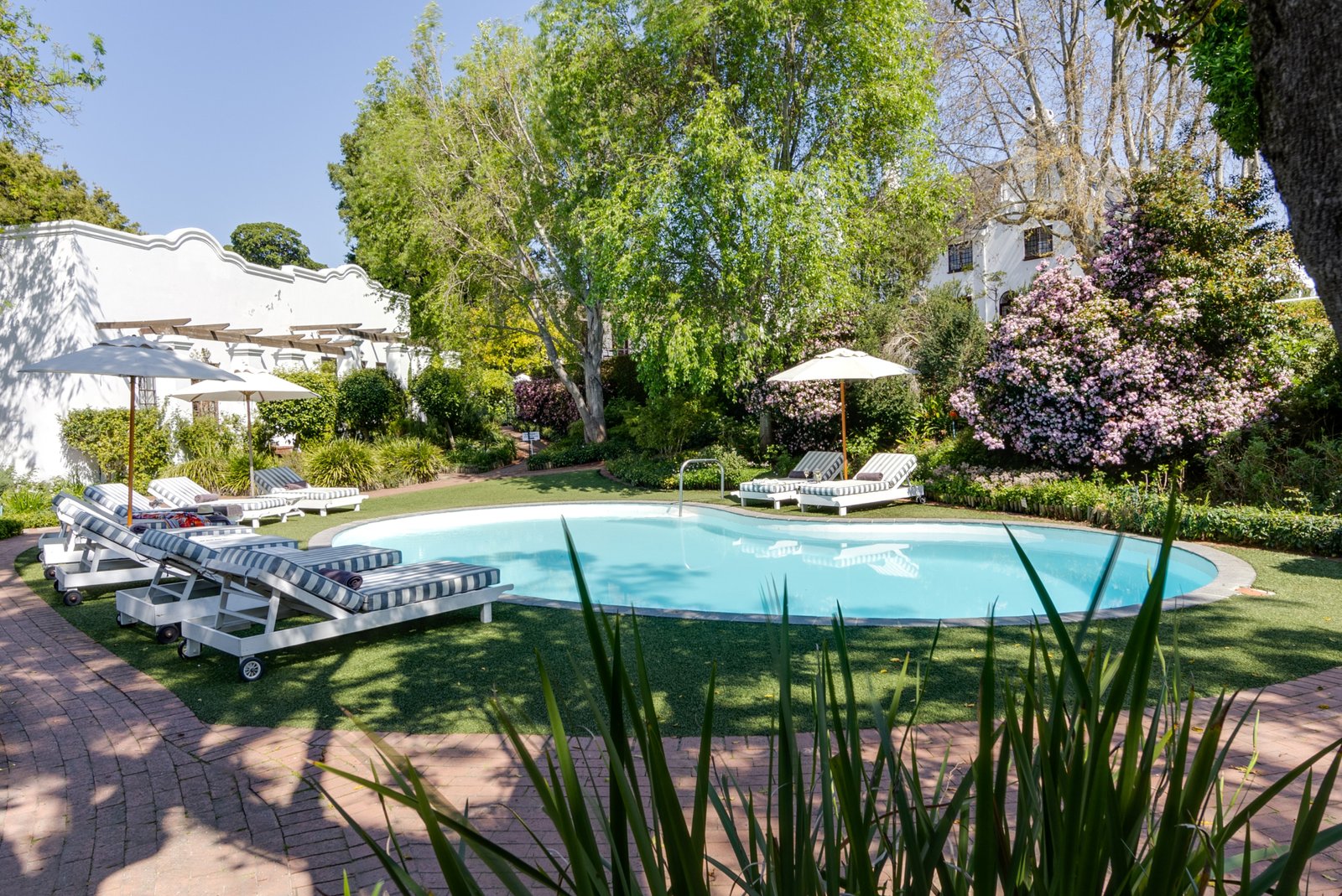 The Claremont Boutique Hotel in Kapstadt Swimmingpool im Garten mit Liegestühlen