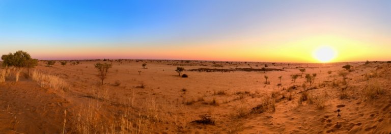 Sonnenuntergangsstimmung in der Kalahari