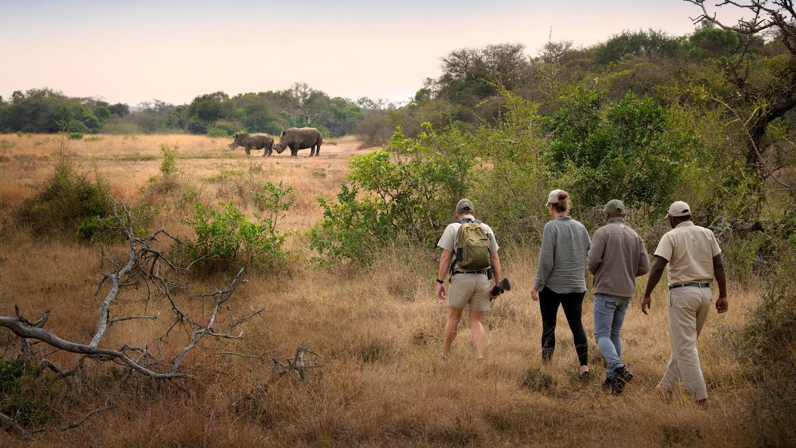 Walking Safari mit Rhinos im Hintergrund