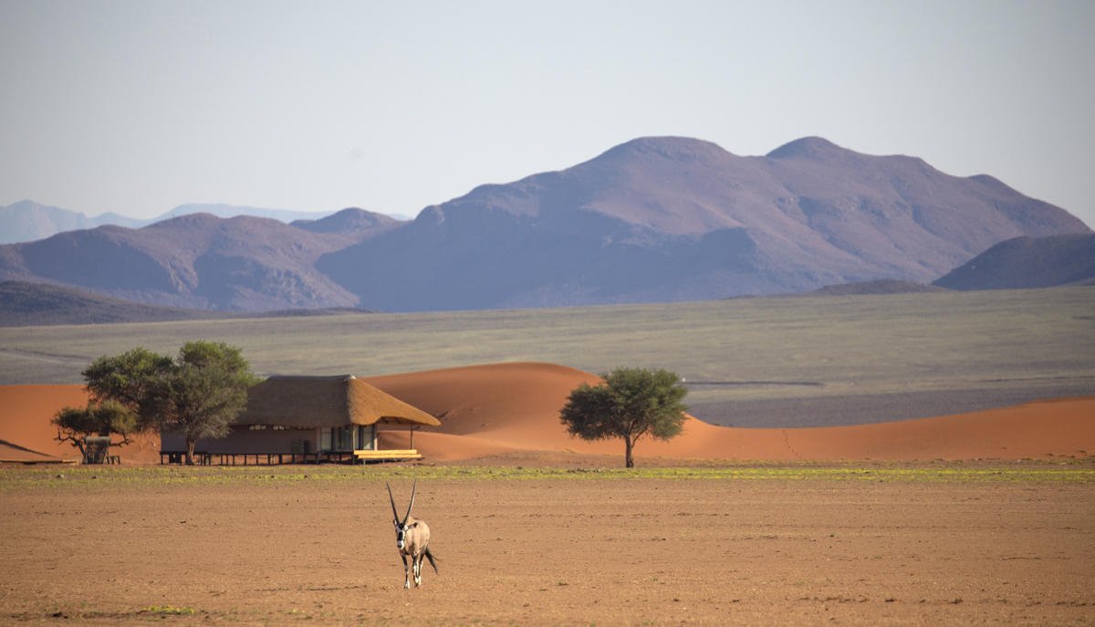 Oryx-Antilope mit Zimmerchalet und Dünen im Hintergrund