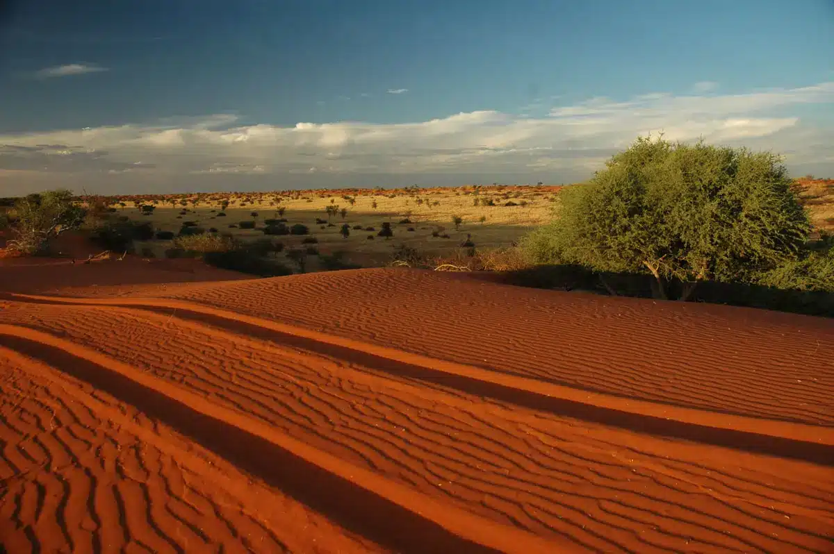 Kalahari-Landschaft mit weitem Blick über die Natur