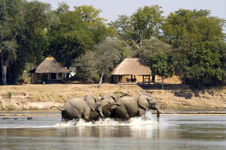 Nsefu Camp mit Elefanten im Luangwa River