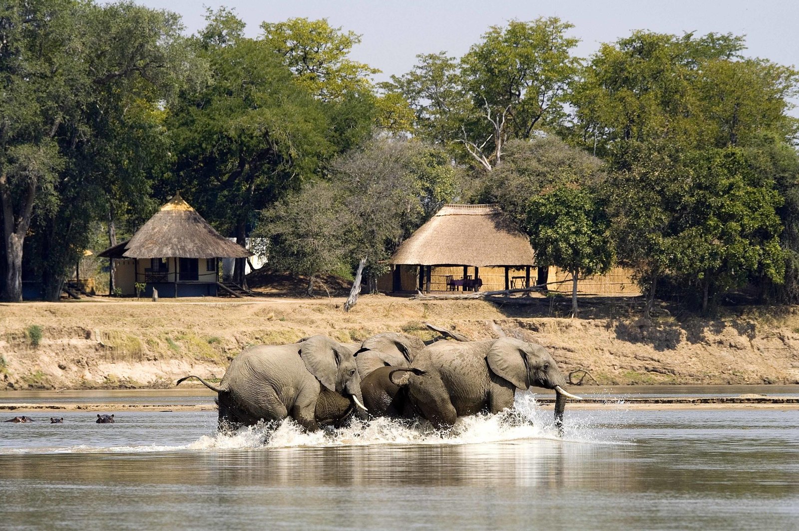 Nsefu Camp mit Elefanten im Luangwa River