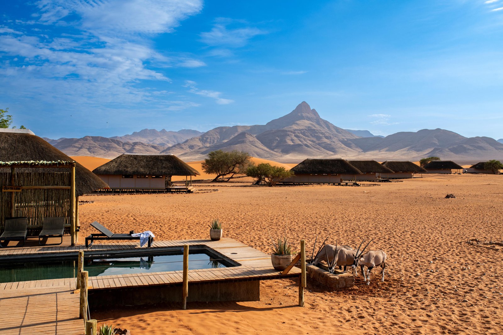 Plunge Pool mit trinkenden Oryx im Vordergrund