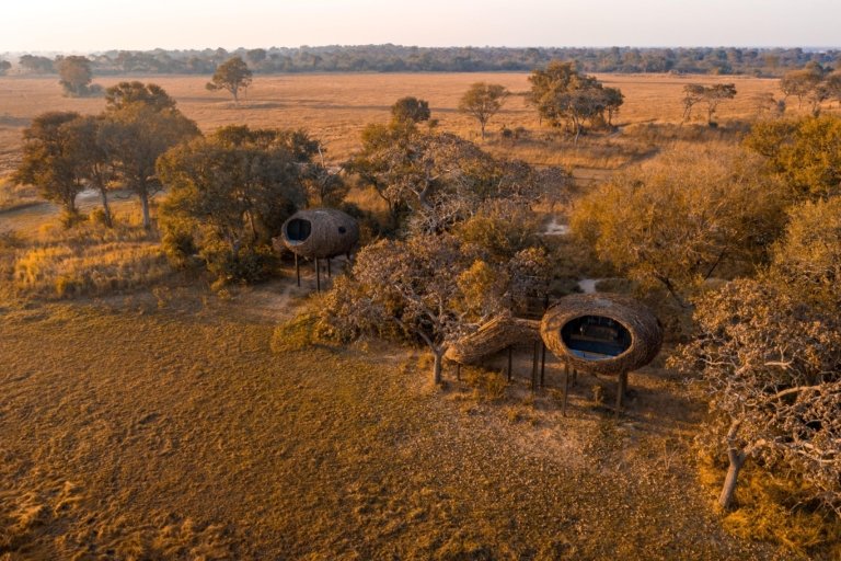 Baumhaus-Nester mit Blick auf die Busanga Plains