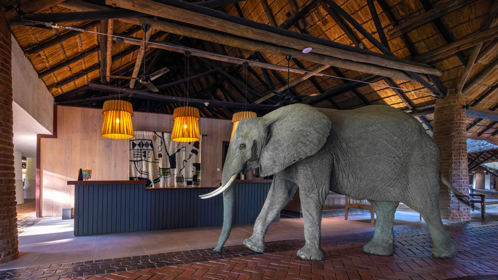 Mfuwe Lodge in Zambia Elefant läuft durch Rezeption