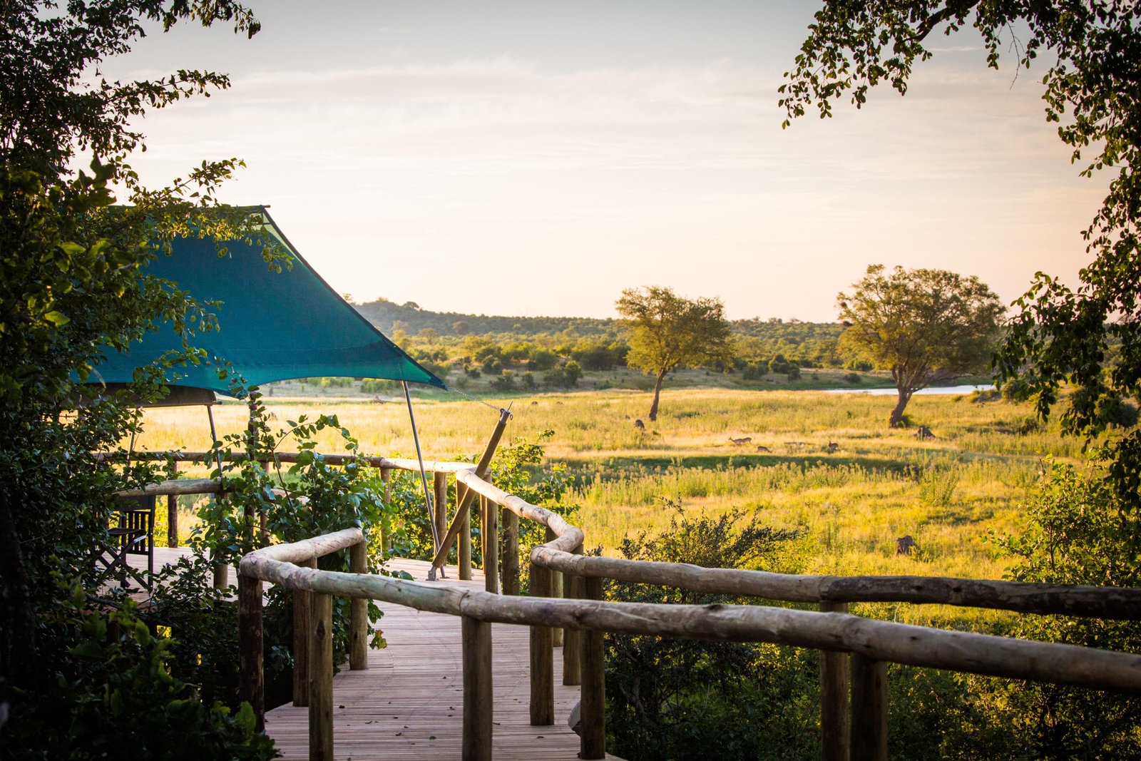 Blick von der Lodge über die üppige, grüne Landschaft